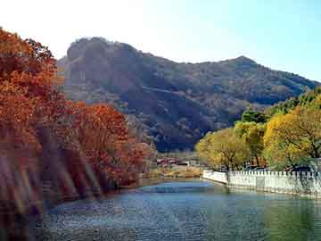 管家婆黑白马报图库，调兵山seo优化